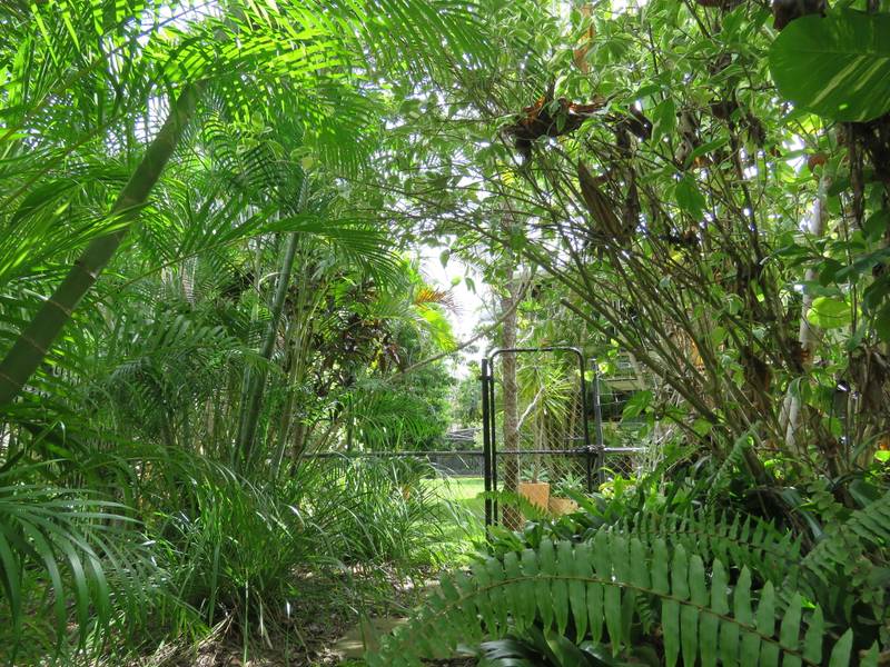 18 Hibiscus Ave, Trunding, QLD 4874