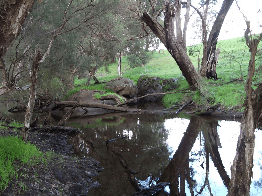 Lot 101 Perup Road, MANJIMUP, WA 6258