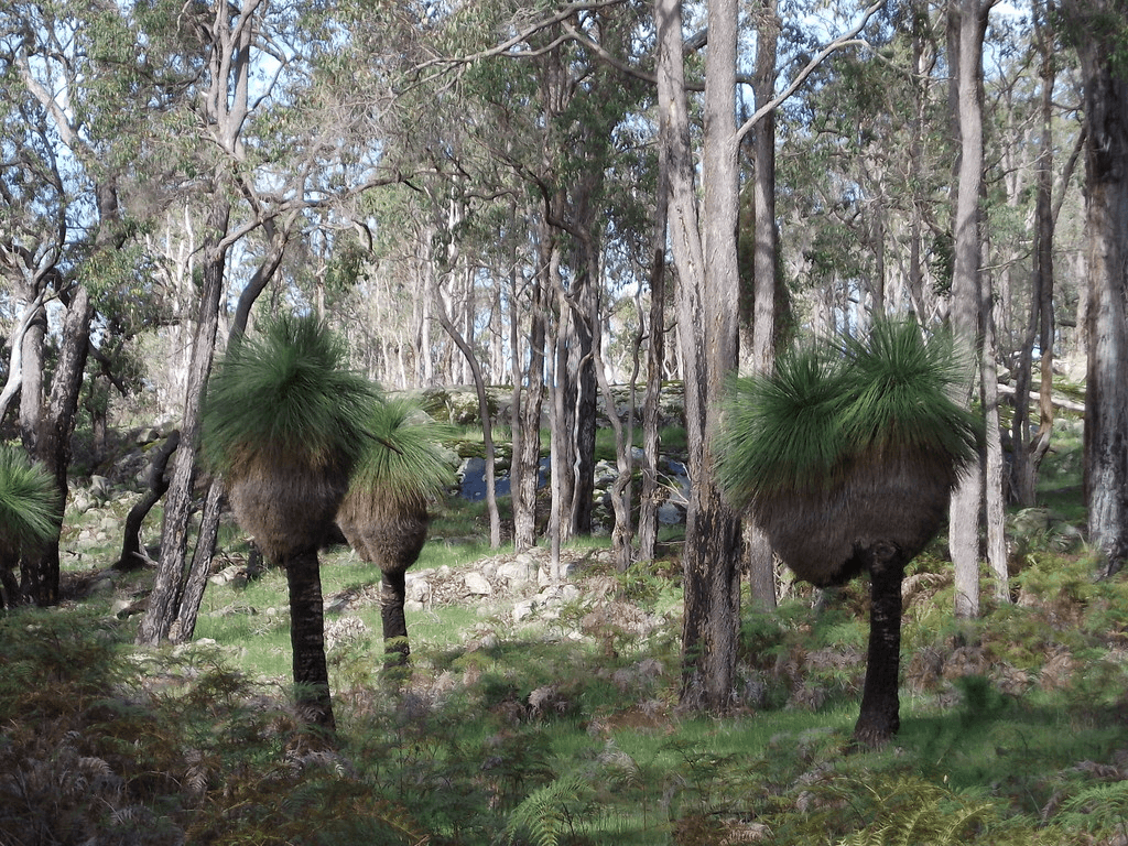 Lot 101 Perup Road, MANJIMUP, WA 6258