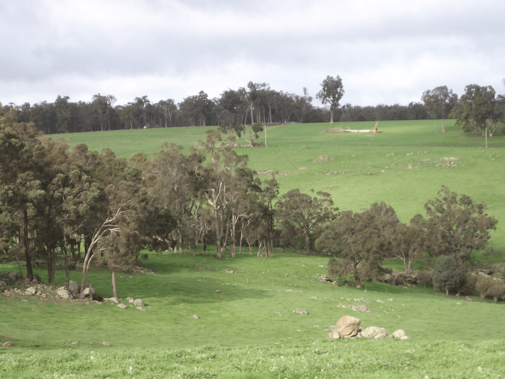 Lot 101 Perup Road, MANJIMUP, WA 6258