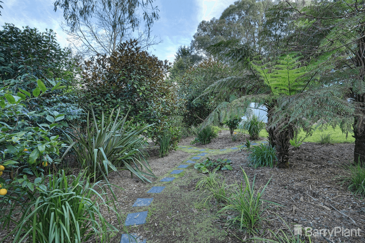 23 Hazel Street, COCKATOO, VIC 3781