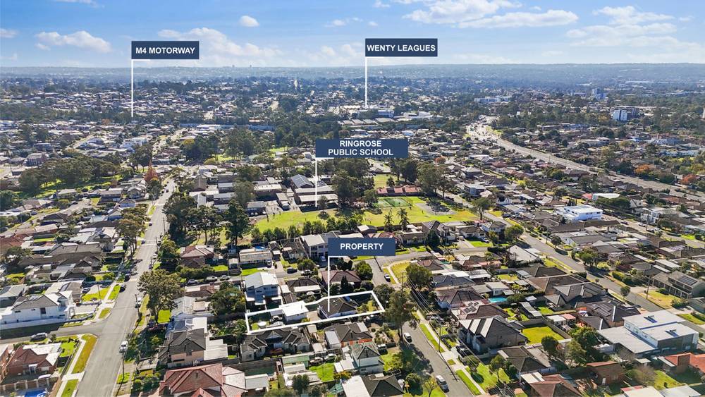 166 Adler Parade, GREYSTANES, NSW 2145