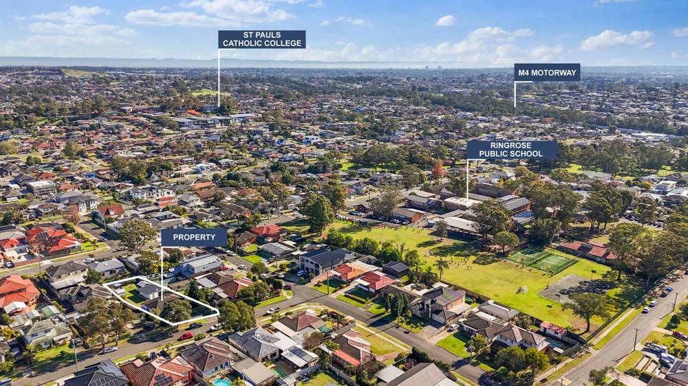 166 Adler Parade, GREYSTANES, NSW 2145