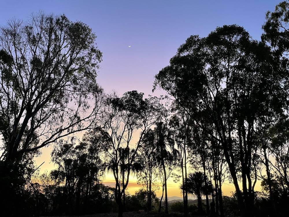 Lot 11 Wright Road, GRASSTREE BEACH, QLD 4740