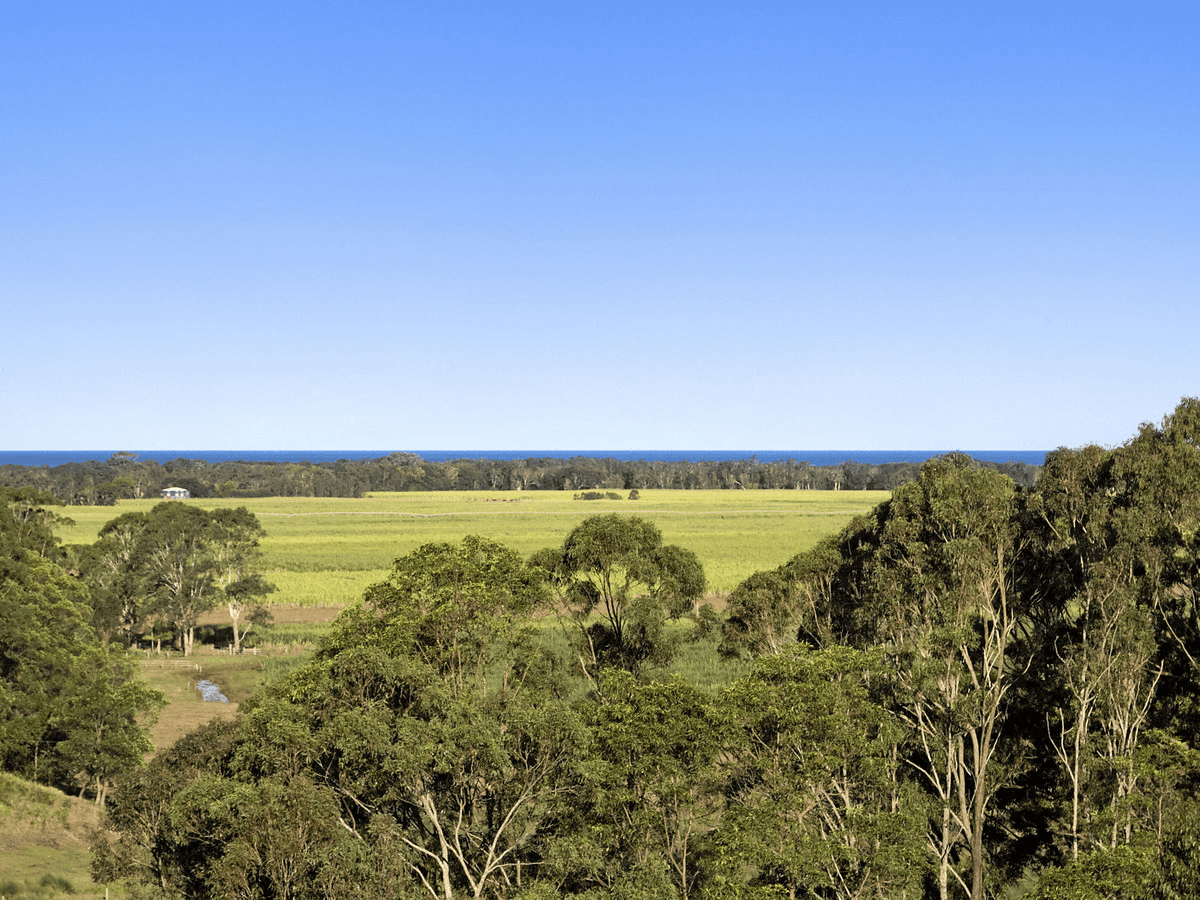 94 Warwick Park Road, Wooyung, NSW 2483