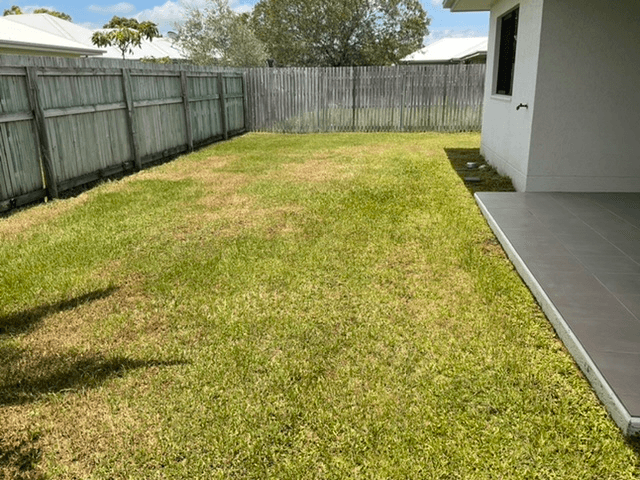 25 Sunning Street, SHAW, QLD 4818