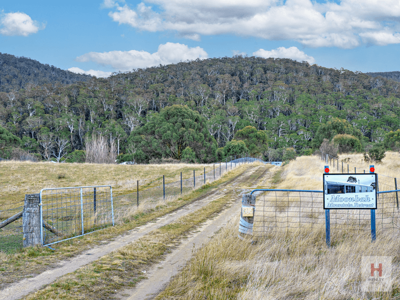 686 Big Yard Road, Moonbah, NSW 2627