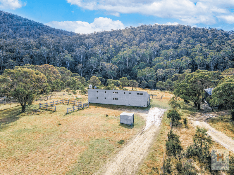 686 Big Yard Road, Moonbah, NSW 2627