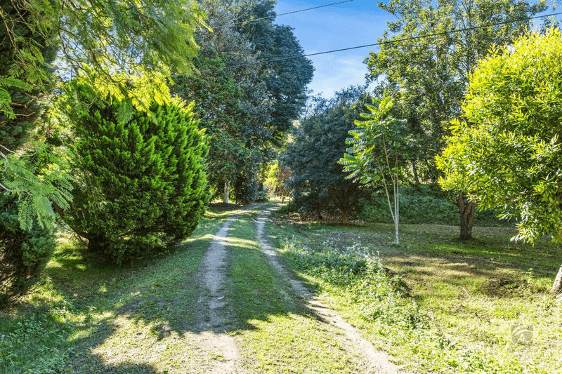 527 Commissioners Creek Road, Commissioners Creek, NSW 2484