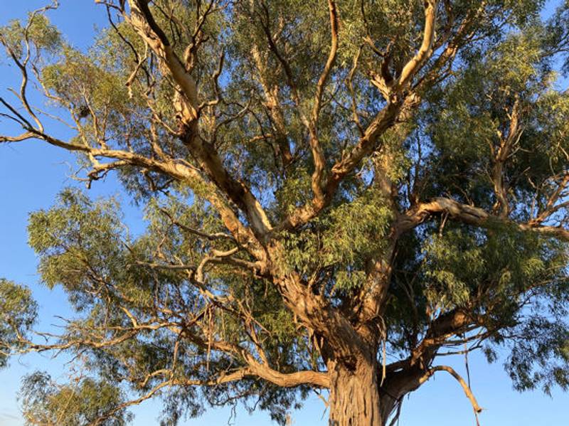 30 Eagle st, WALLAN, VIC 3756