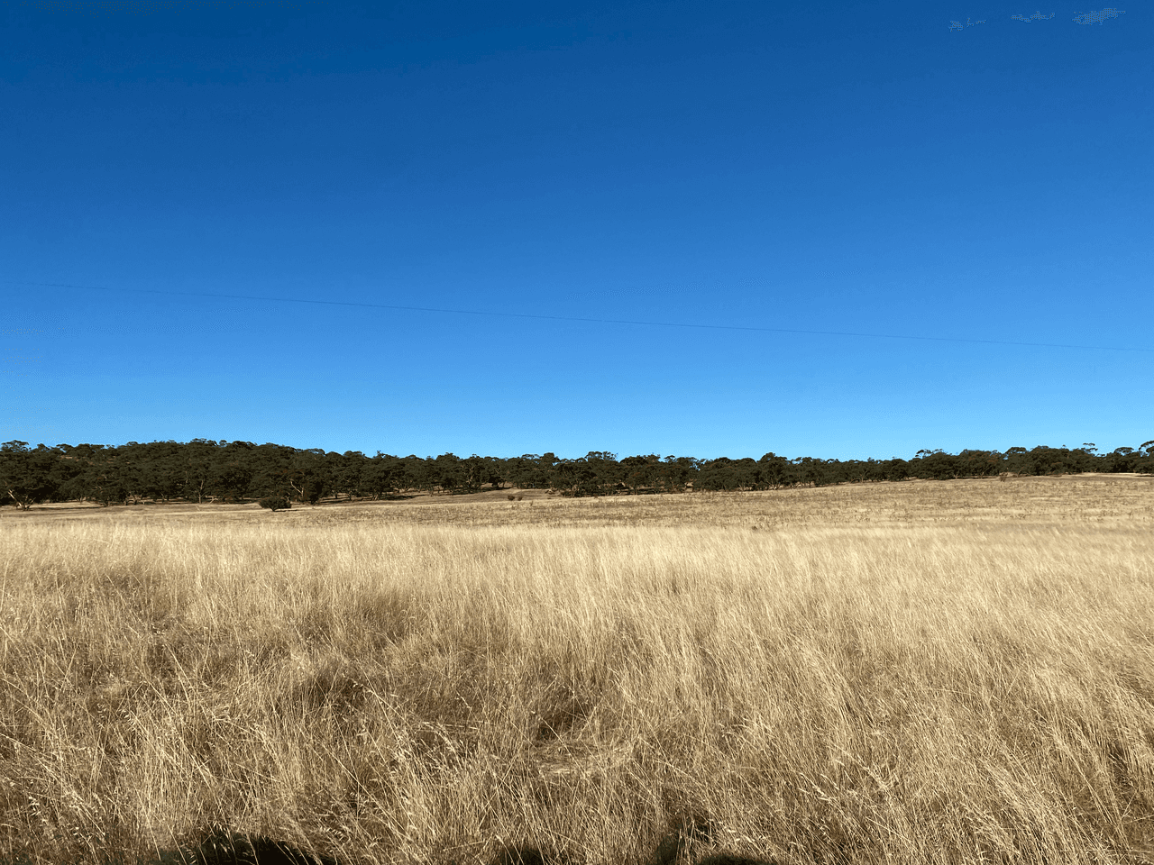 Lot 270 Hill Rd, ALMA, SA 5401