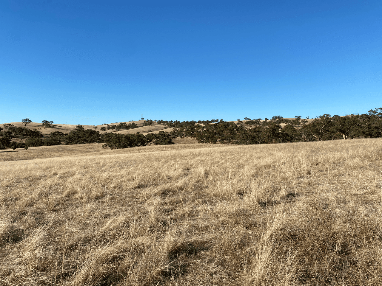 Lot 270 Hill Rd, ALMA, SA 5401