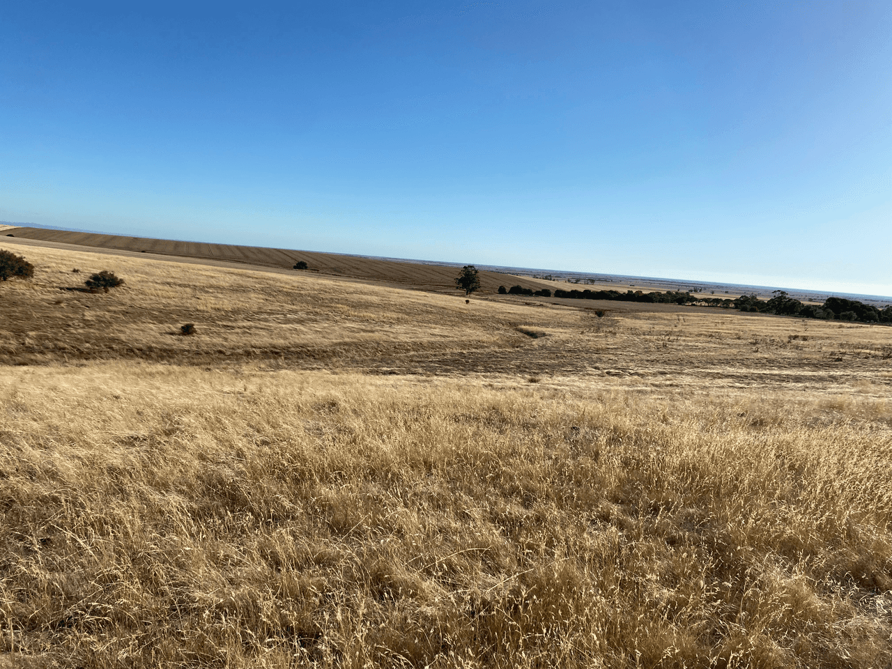 Lot 270 Hill Rd, ALMA, SA 5401