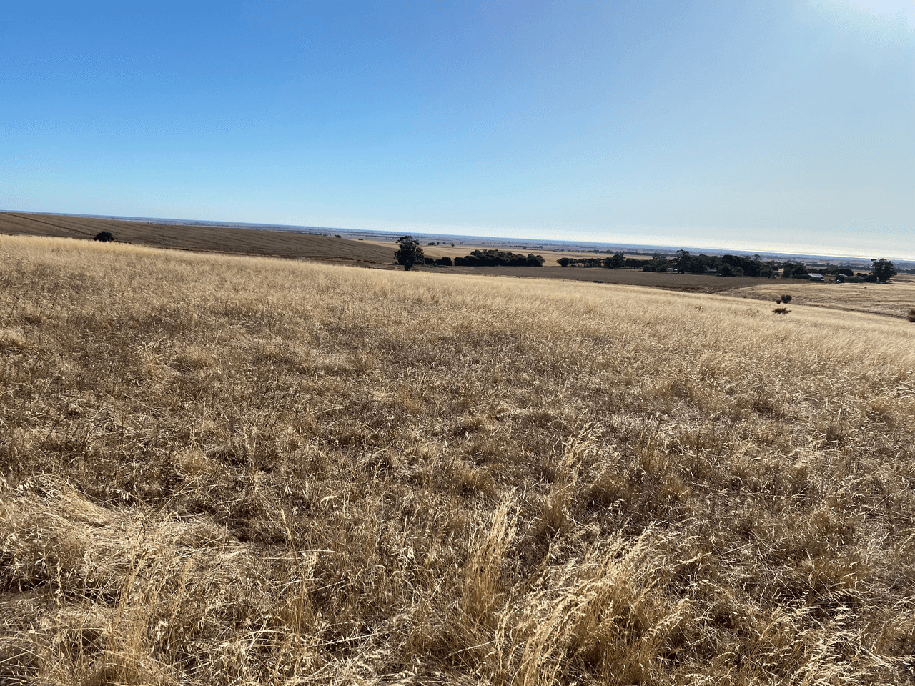 Lot 270 Hill Rd, ALMA, SA 5401