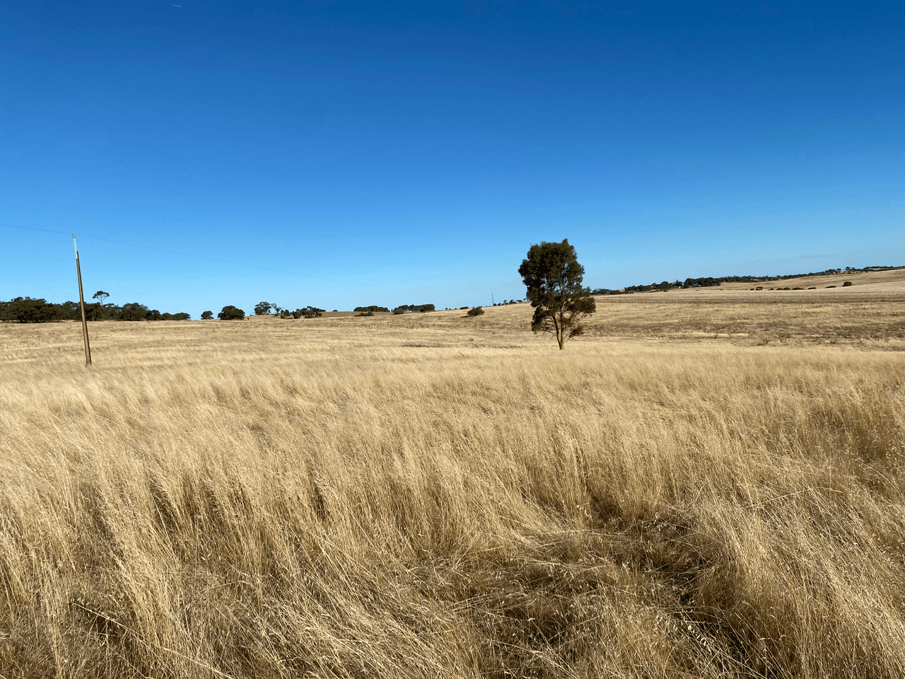 Lot 270 Hill Rd, ALMA, SA 5401