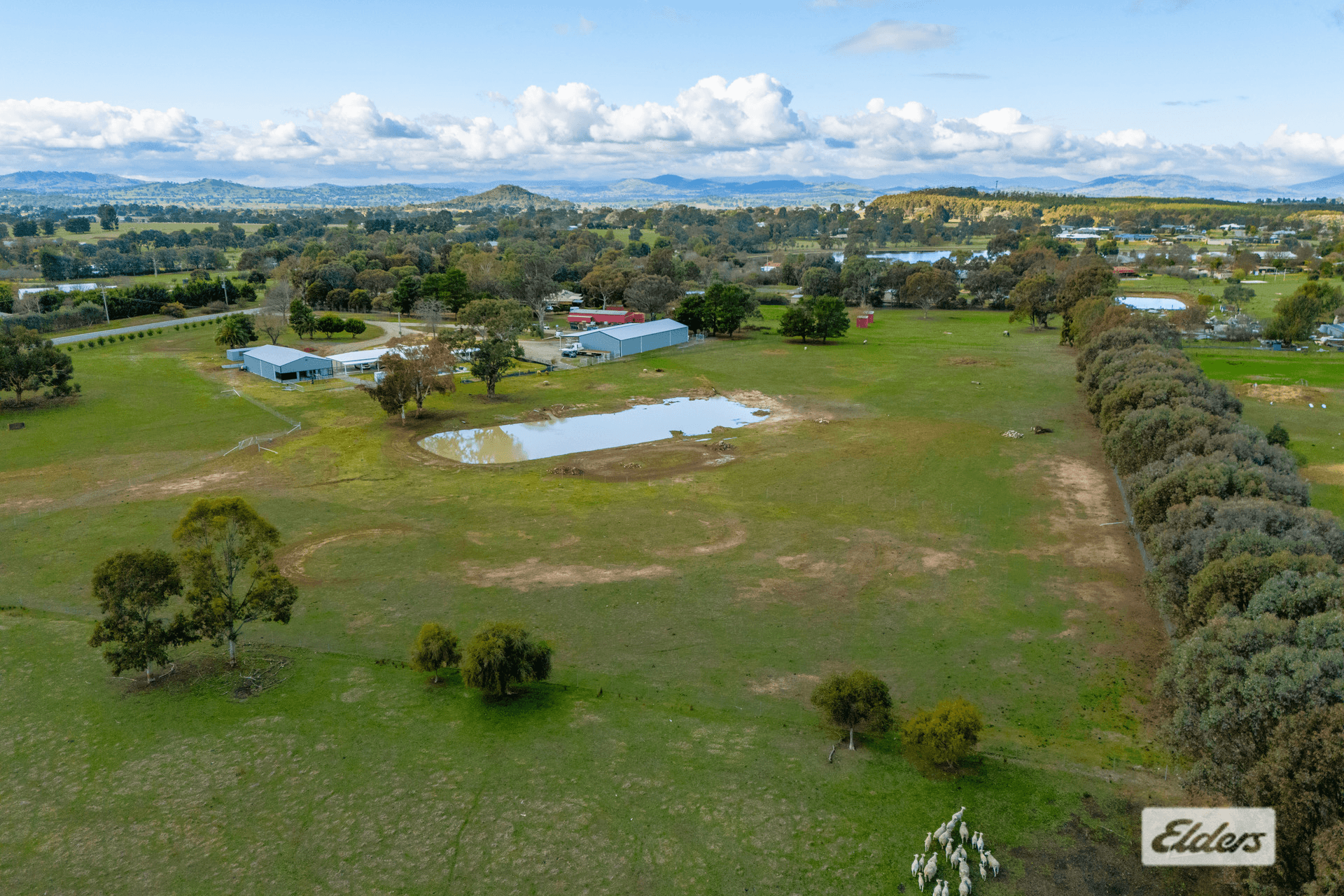 Tynan Road, Table Top, NSW 2640