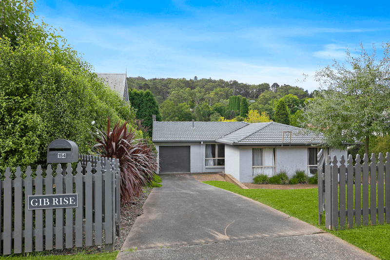 154 Merrigang Street, BOWRAL, NSW 2576