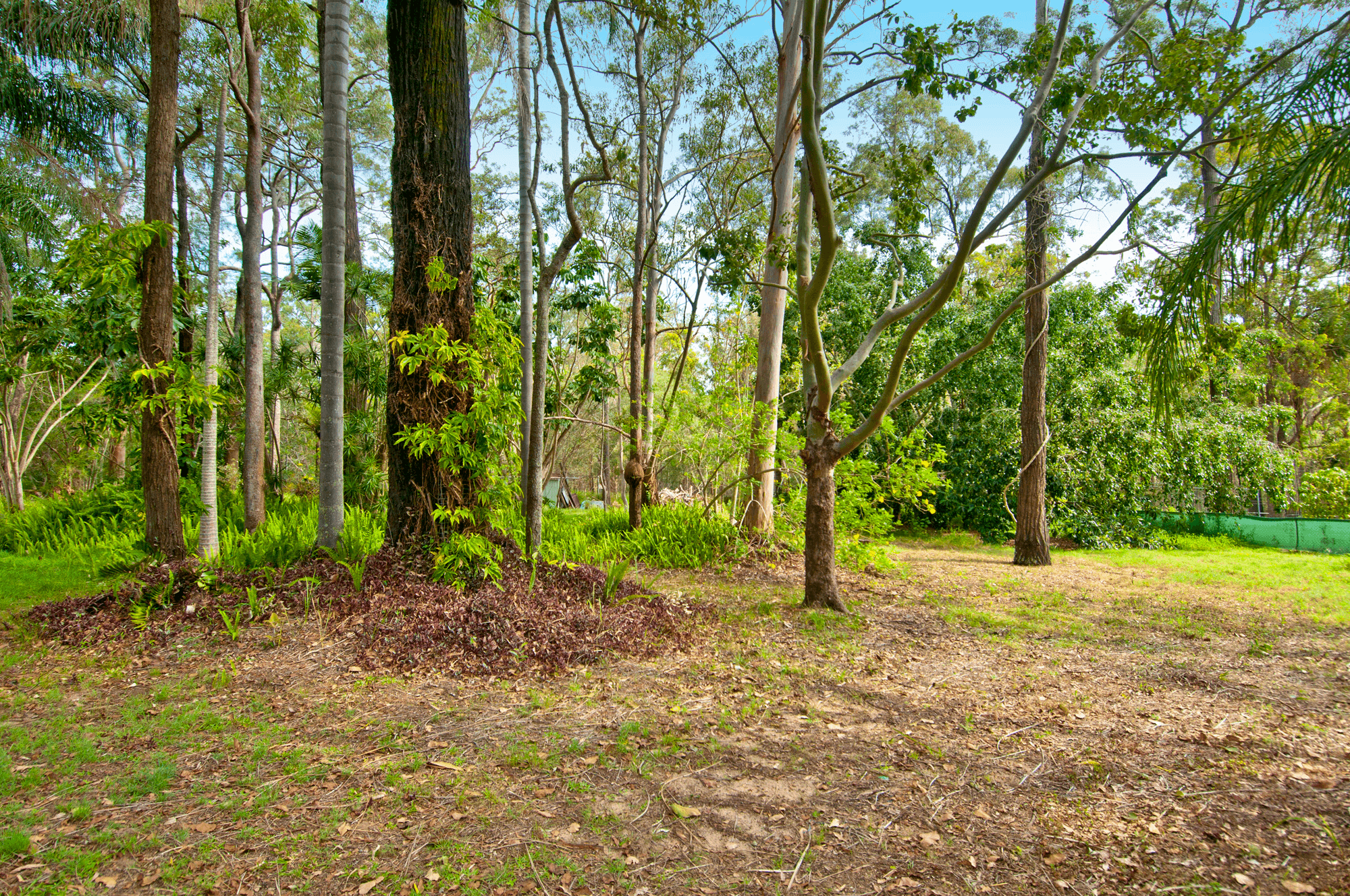 174 Forestdale Drive, FORESTDALE, QLD 4118