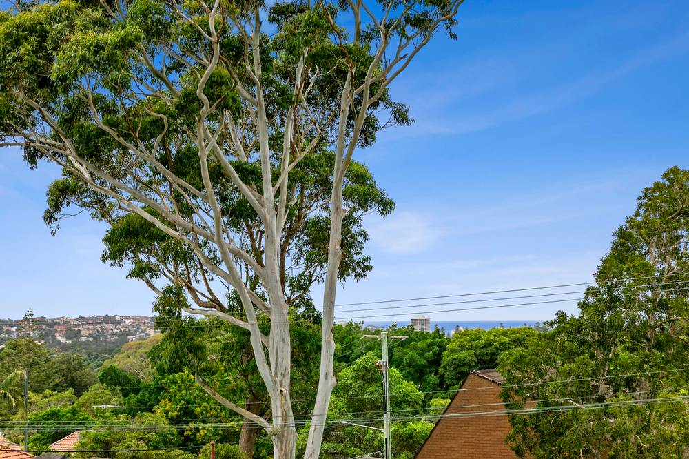 3/3 Brighton Street, BALGOWLAH, NSW 2093