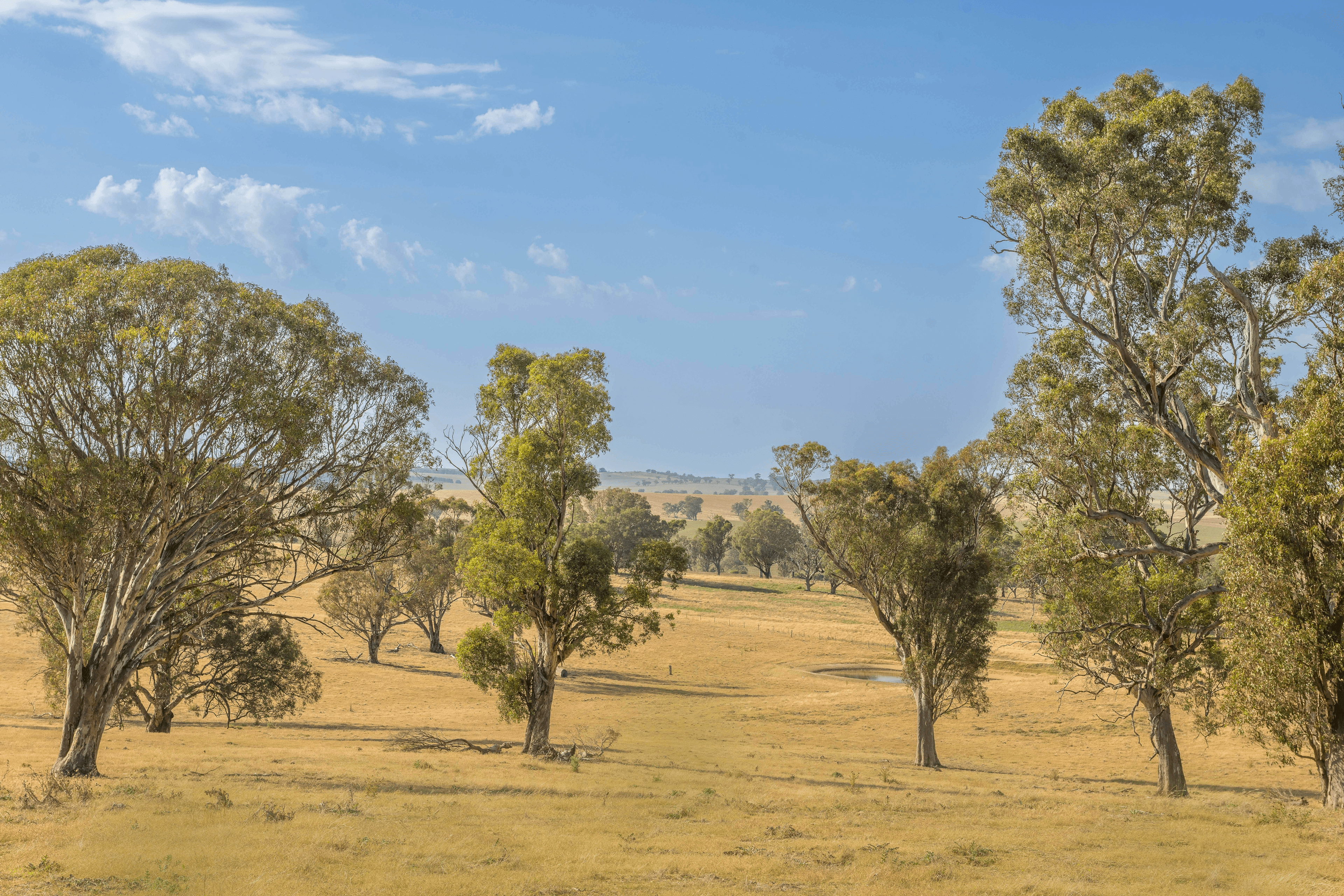 Lot 167 Hartfield Road Barwang via, Young, NSW 2594