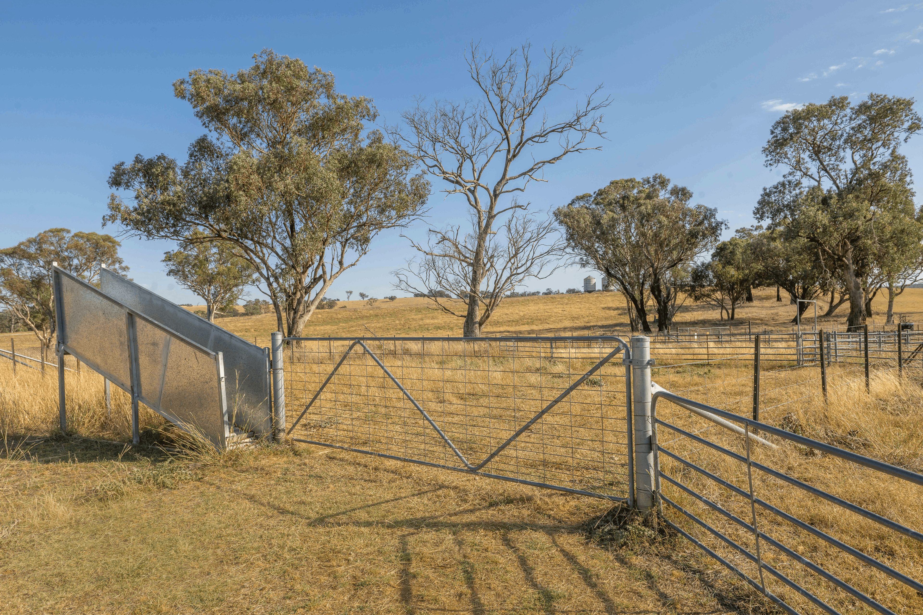 Lot 167 Hartfield Road Barwang via, Young, NSW 2594