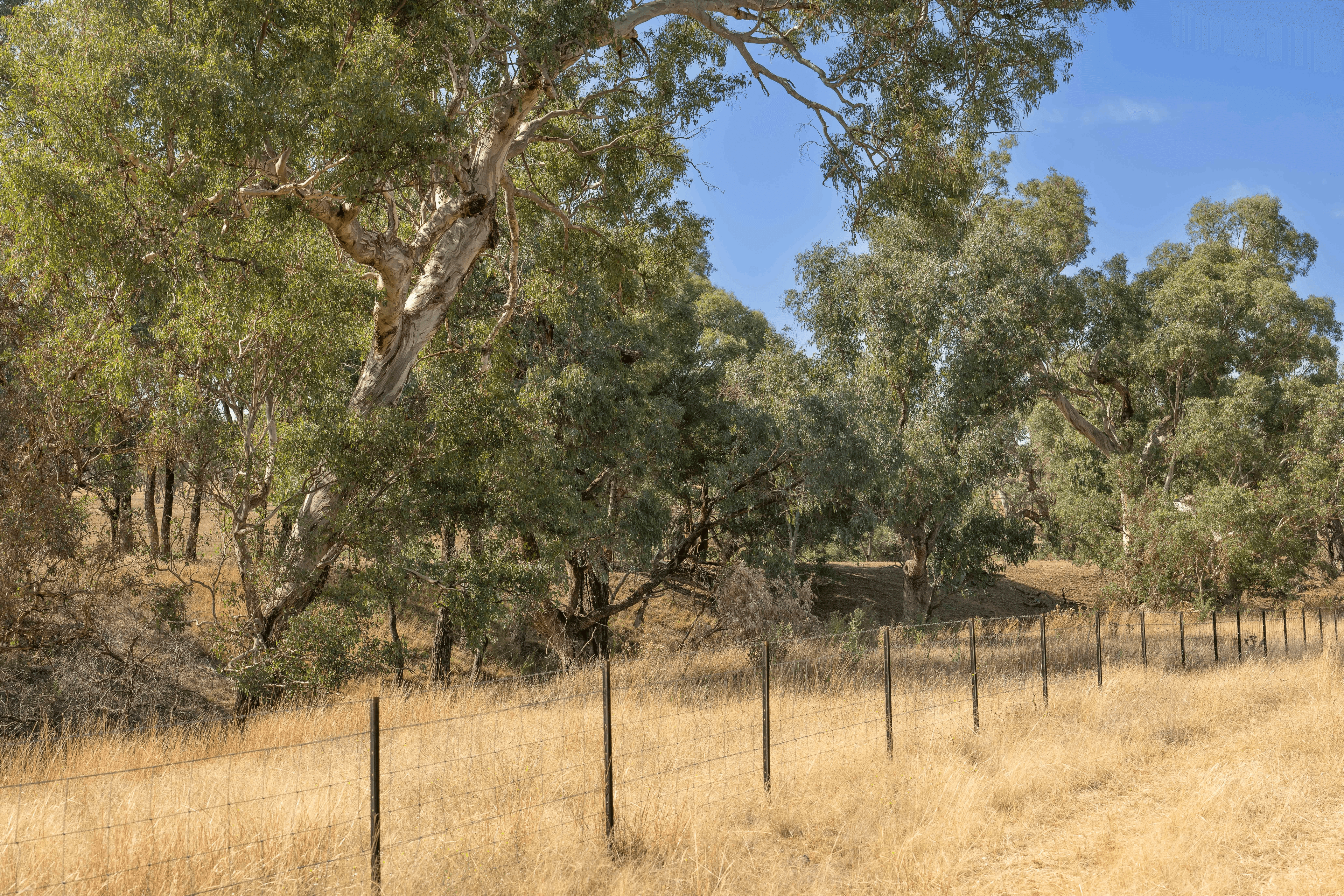 Lot 167 Hartfield Road Barwang via, Young, NSW 2594