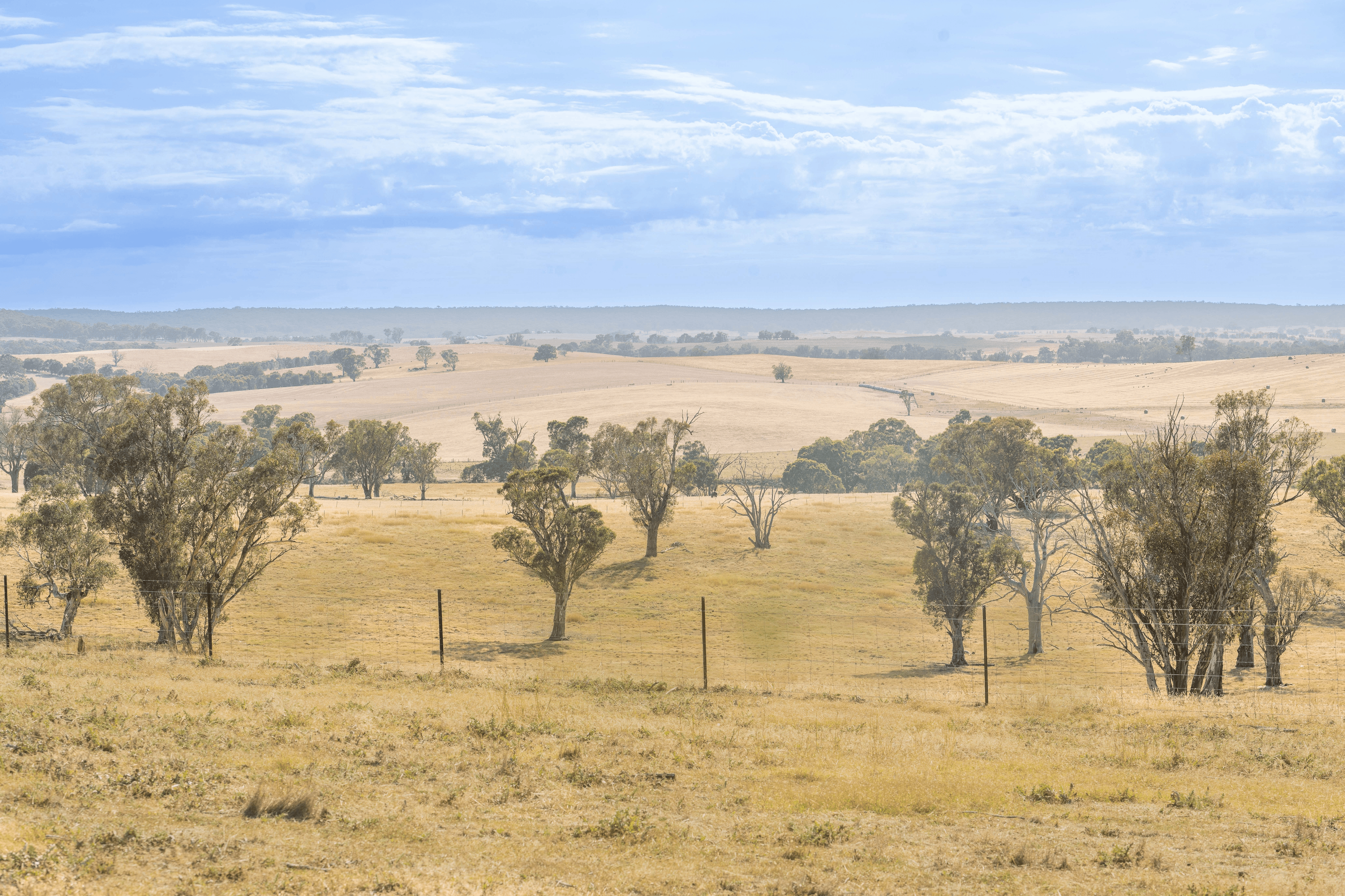 Lot 167 Hartfield Road Barwang via, Young, NSW 2594