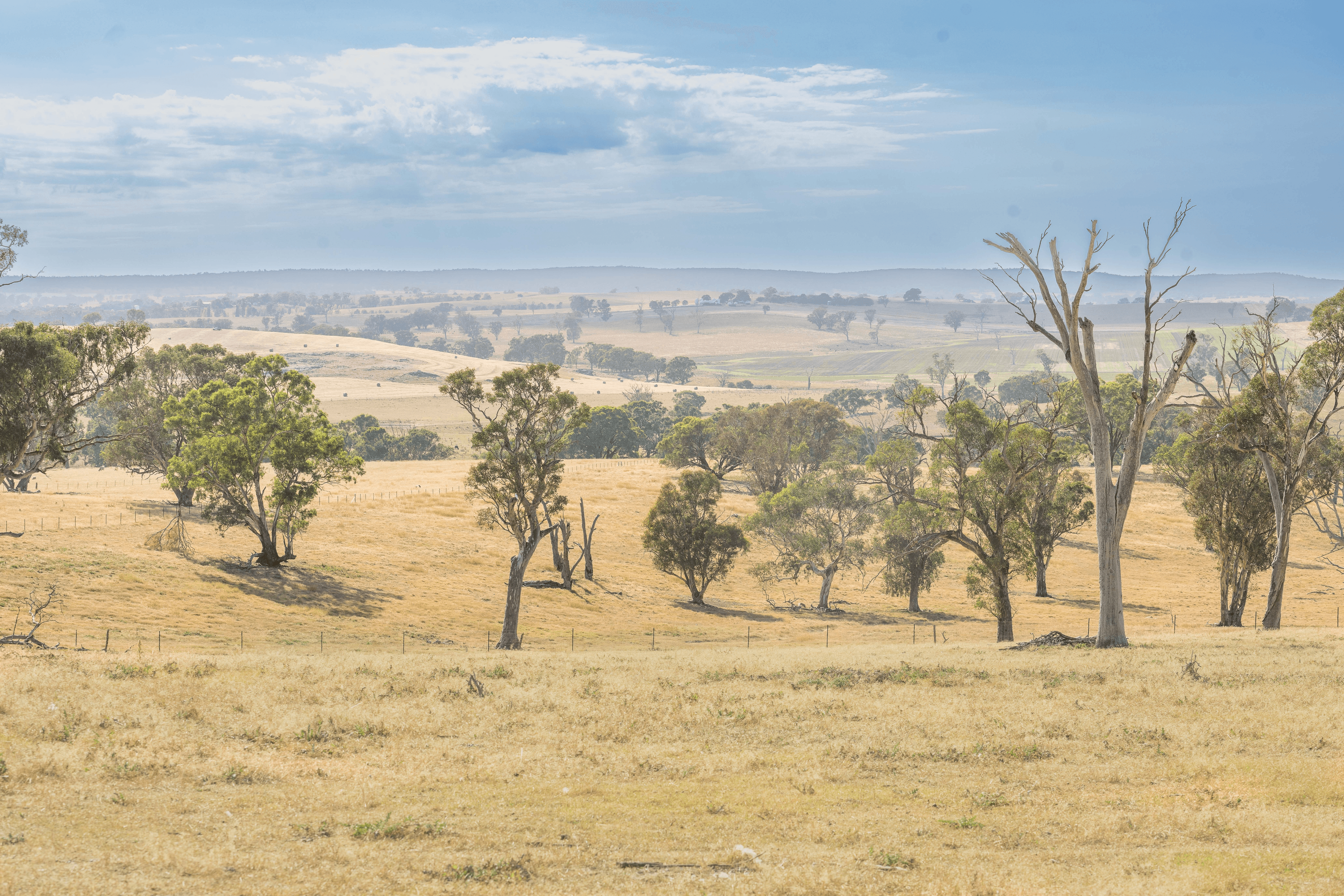 Lot 167 Hartfield Road Barwang via, Young, NSW 2594