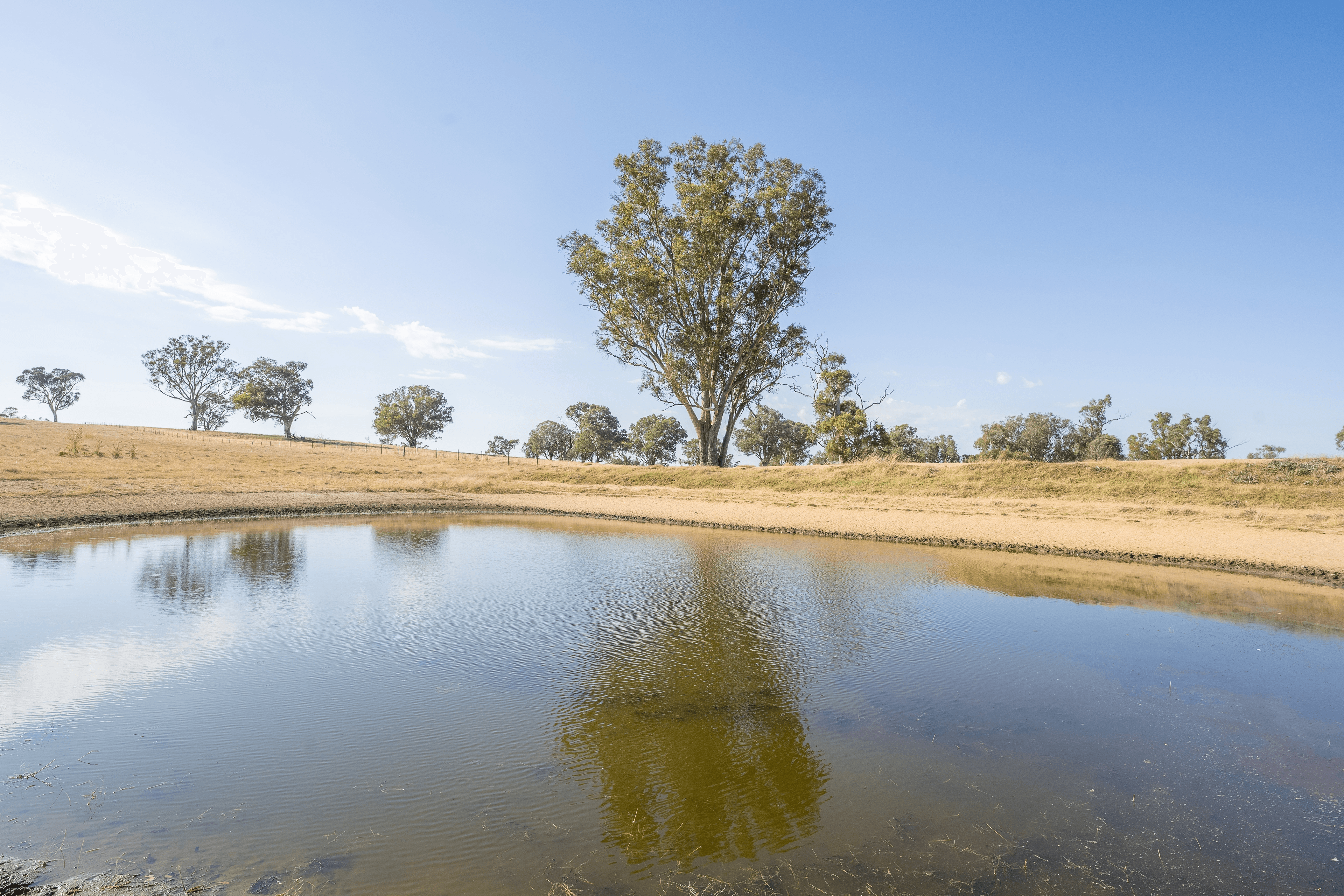 Lot 167 Hartfield Road Barwang via, Young, NSW 2594