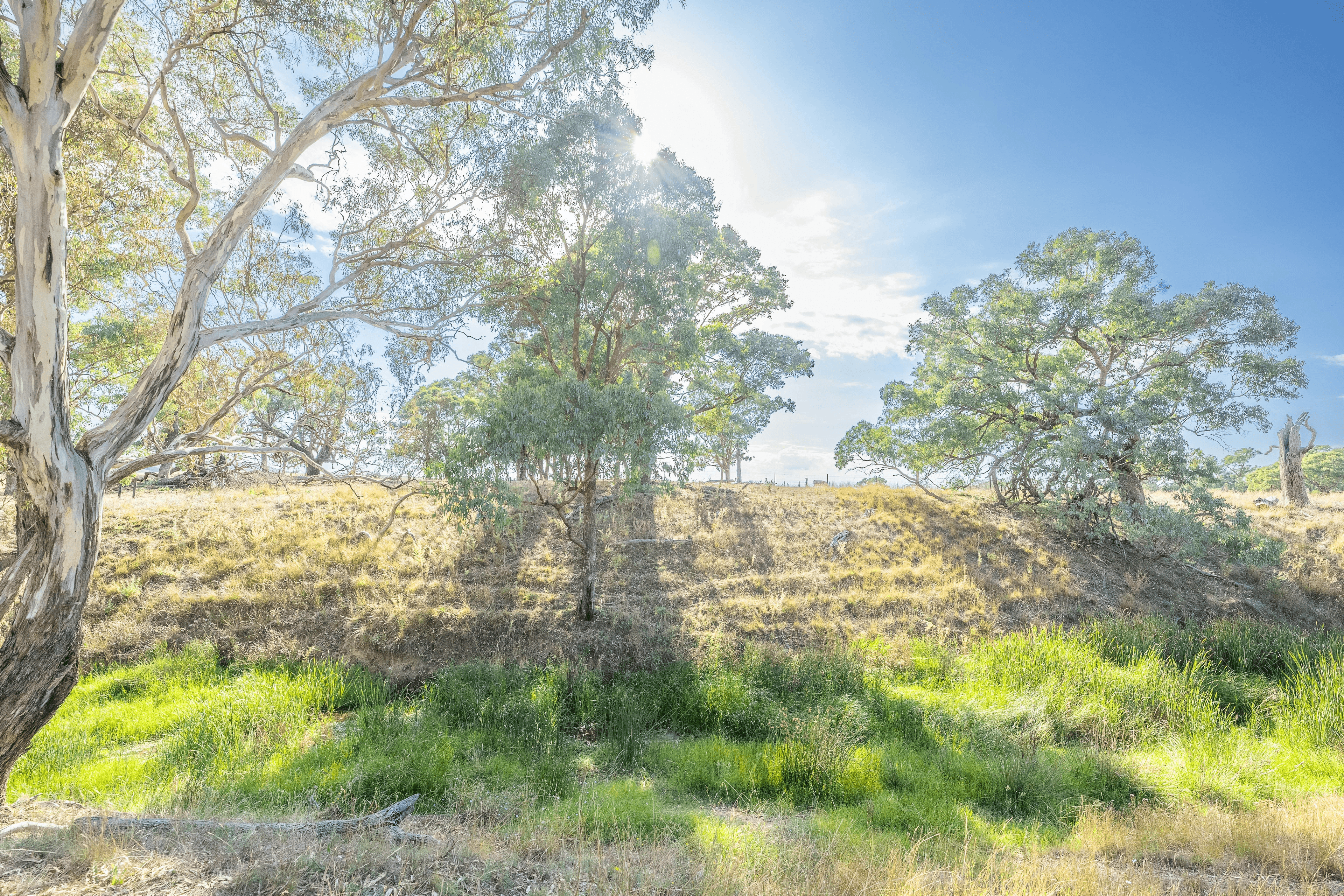 Lot 167 Hartfield Road Barwang via, Young, NSW 2594