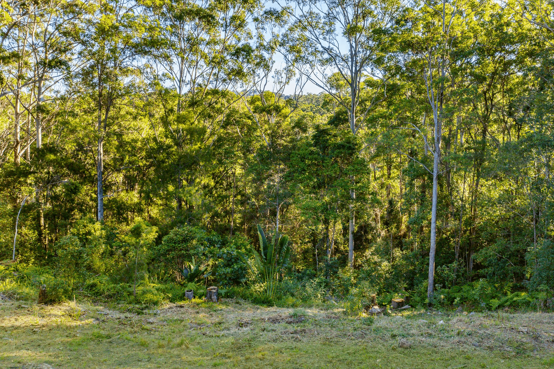 7 Ashdown Court, TINBEERWAH, QLD 4563
