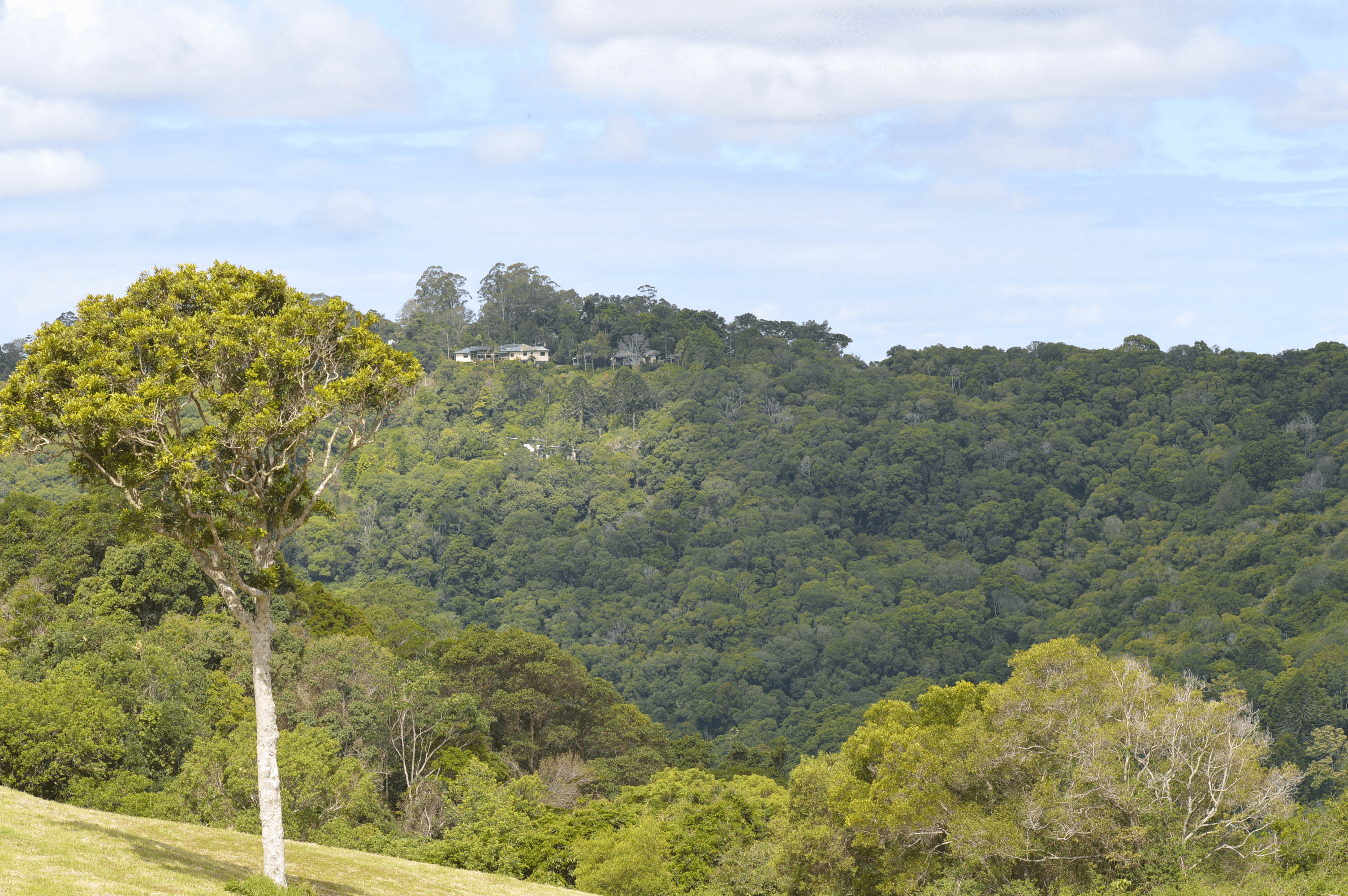 306 BURGUM ROAD, NORTH MALENY, QLD 4552