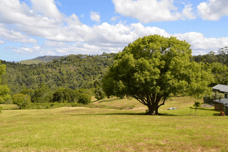 306 BURGUM ROAD, NORTH MALENY, QLD 4552