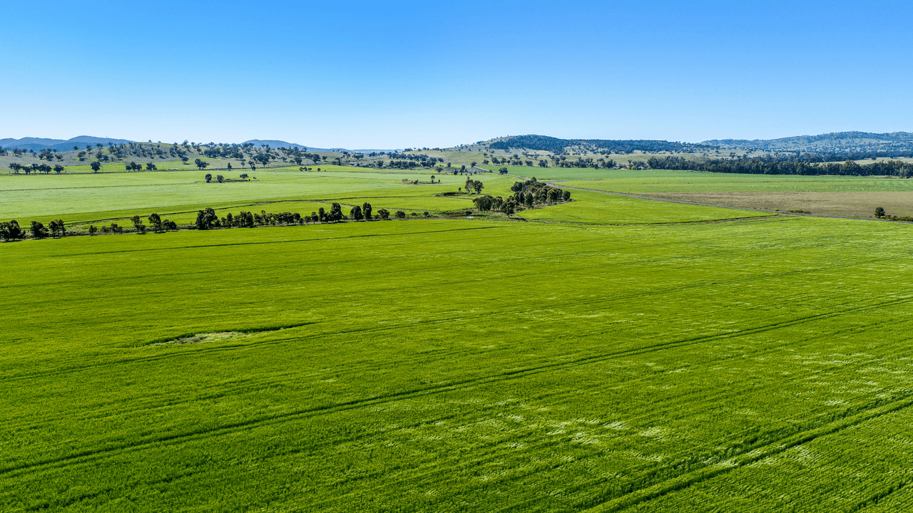 8657 Burrendong Way Apsley via, WELLINGTON, NSW 2820