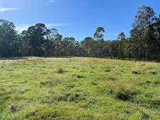 Lot 14 Old Dyraaba Road, LOWER DYRAABA, NSW 2470