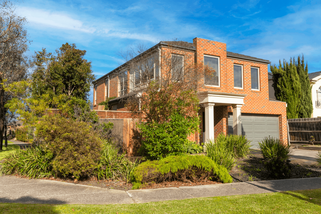 8 O'Dwyer Street, MORDIALLOC, VIC 3195