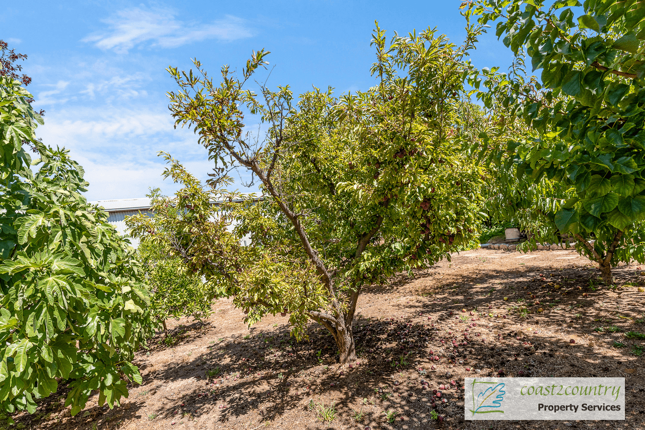 26 Railway Terrace, COONALPYN, SA 5265