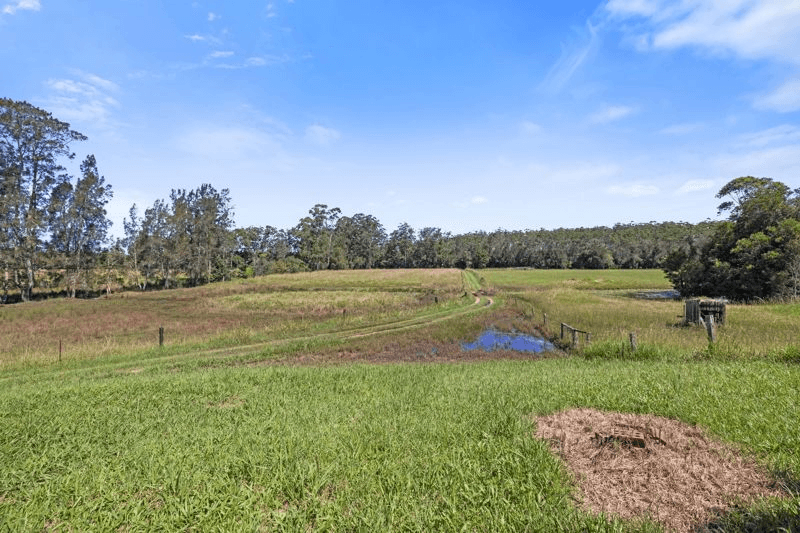 504 South Arm Road, URUNGA, NSW 2455