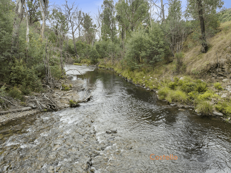 120 BONDS, Nariel Valley, VIC 3707