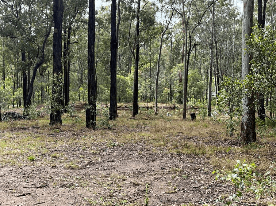 Lot 132 Rodney Road, CURRA, QLD 4570