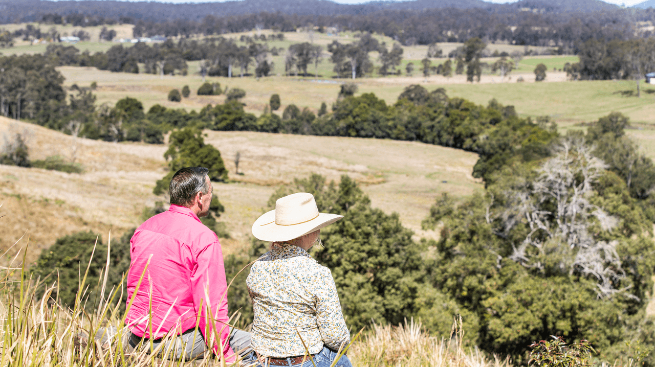 181 Bunyah Road, FIREFLY, NSW 2429