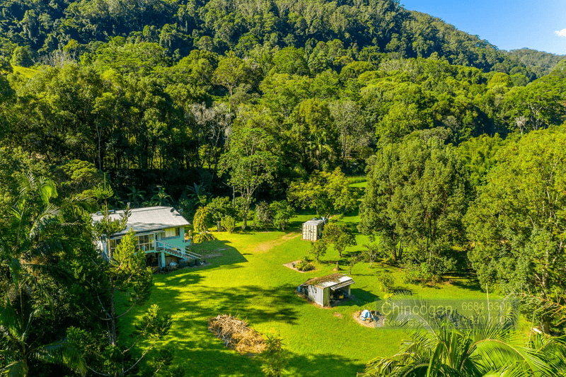 841 Wilsons Creek Road, WILSONS CREEK, NSW 2482