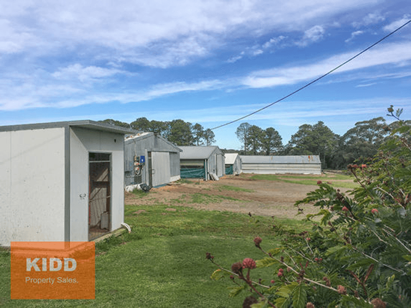 1257 Peats Ridge Road, PEATS RIDGE, NSW 2250