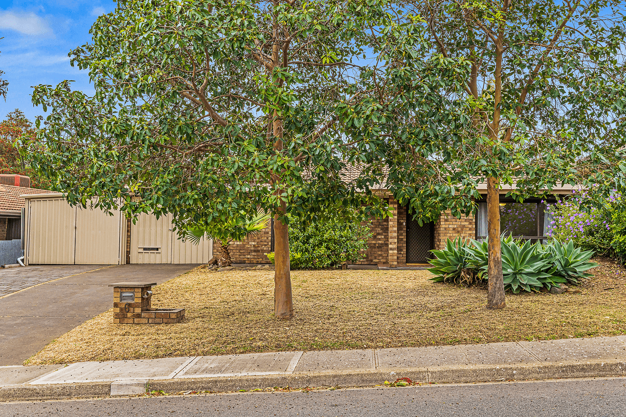 6 Timothy Road, Morphett Vale, SA 5162