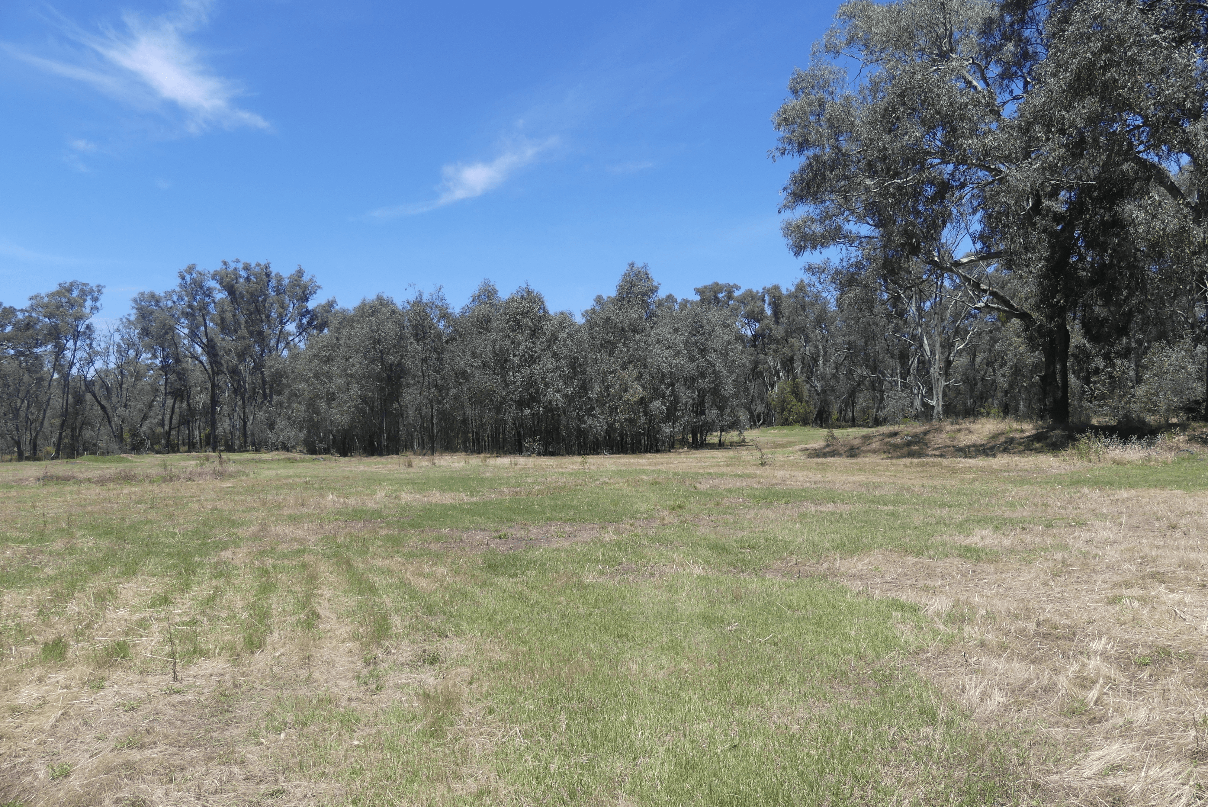65 Hutchinson Road, MURCHISON EAST, VIC 3610