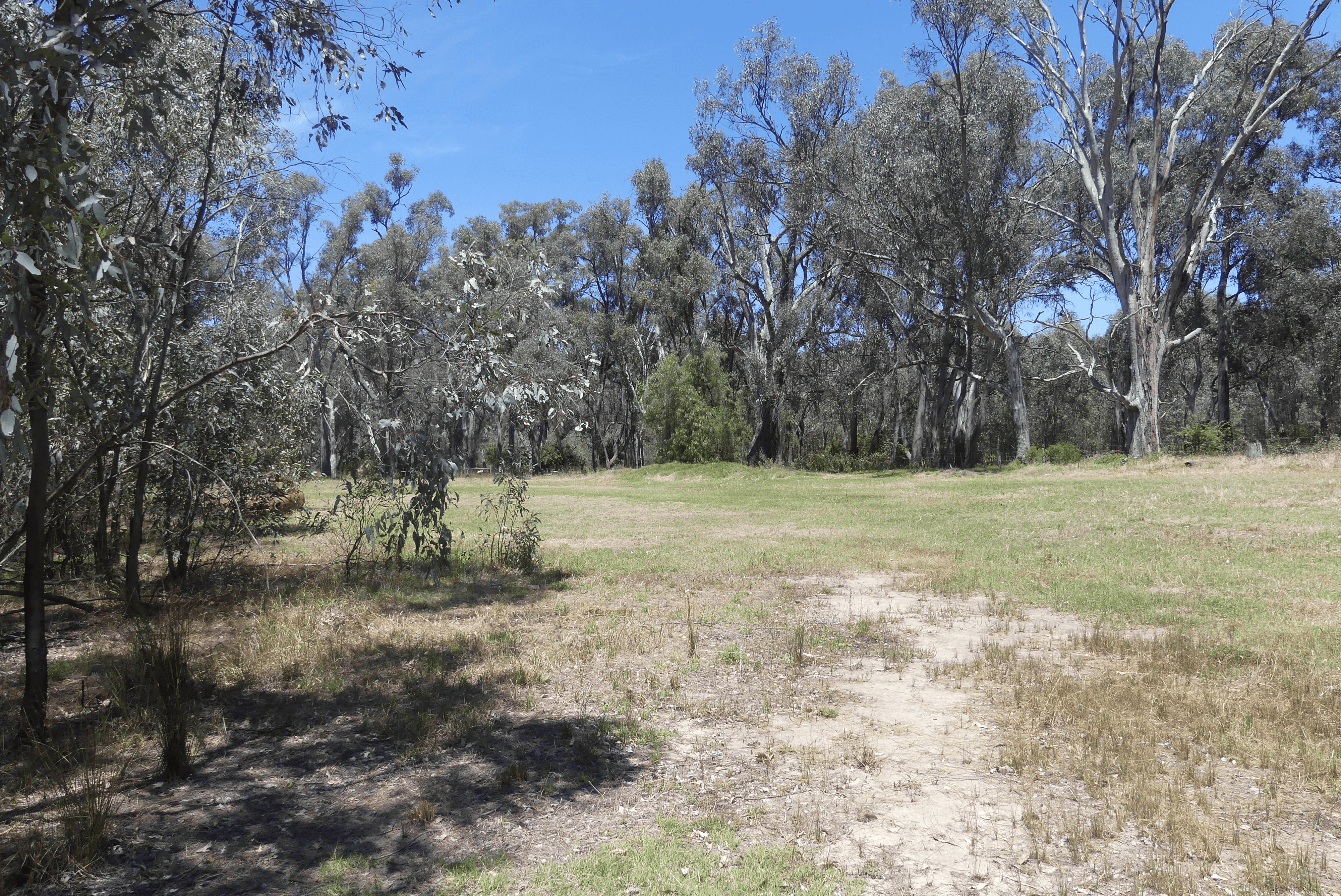 65 Hutchinson Road, MURCHISON EAST, VIC 3610