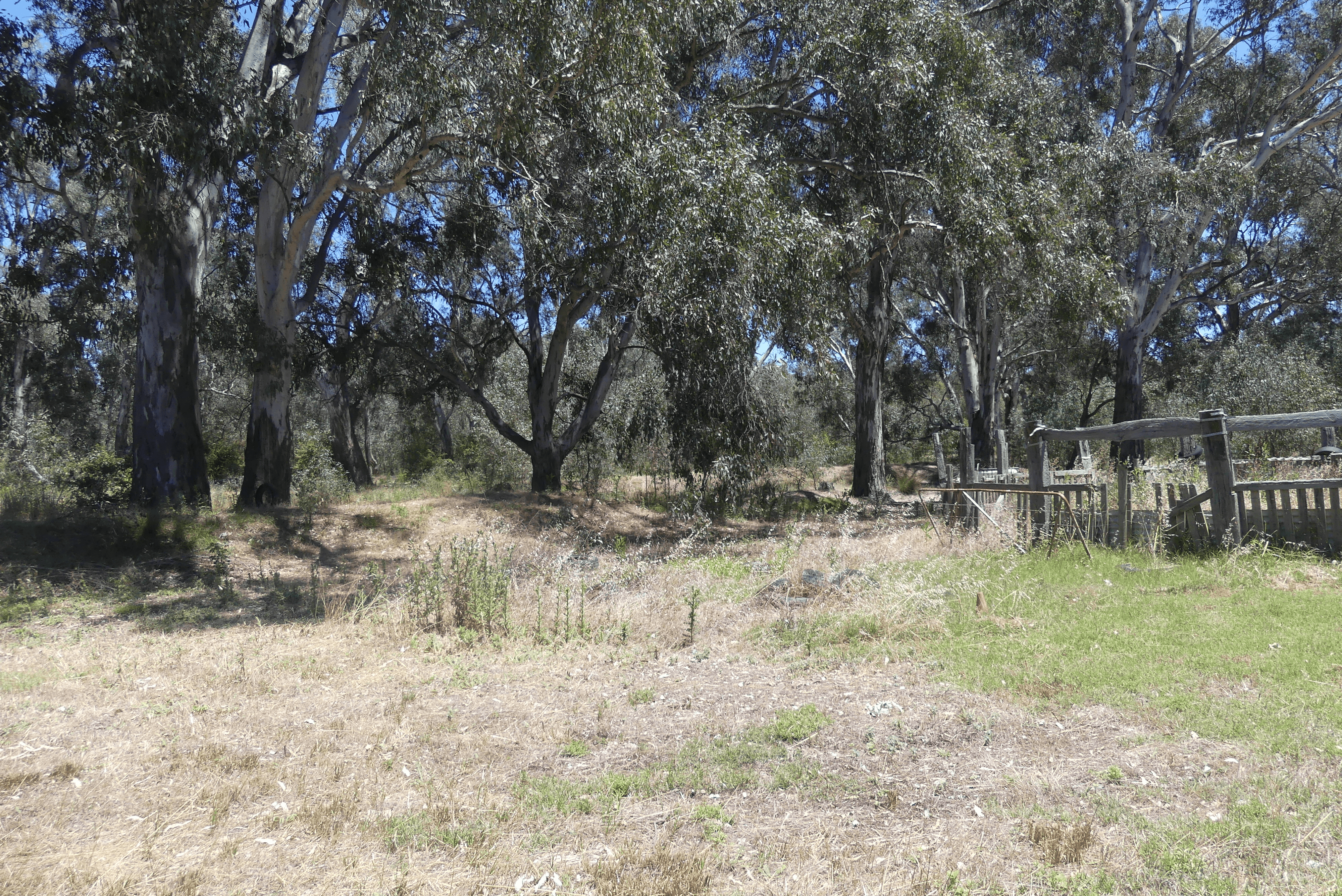 65 Hutchinson Road, MURCHISON EAST, VIC 3610