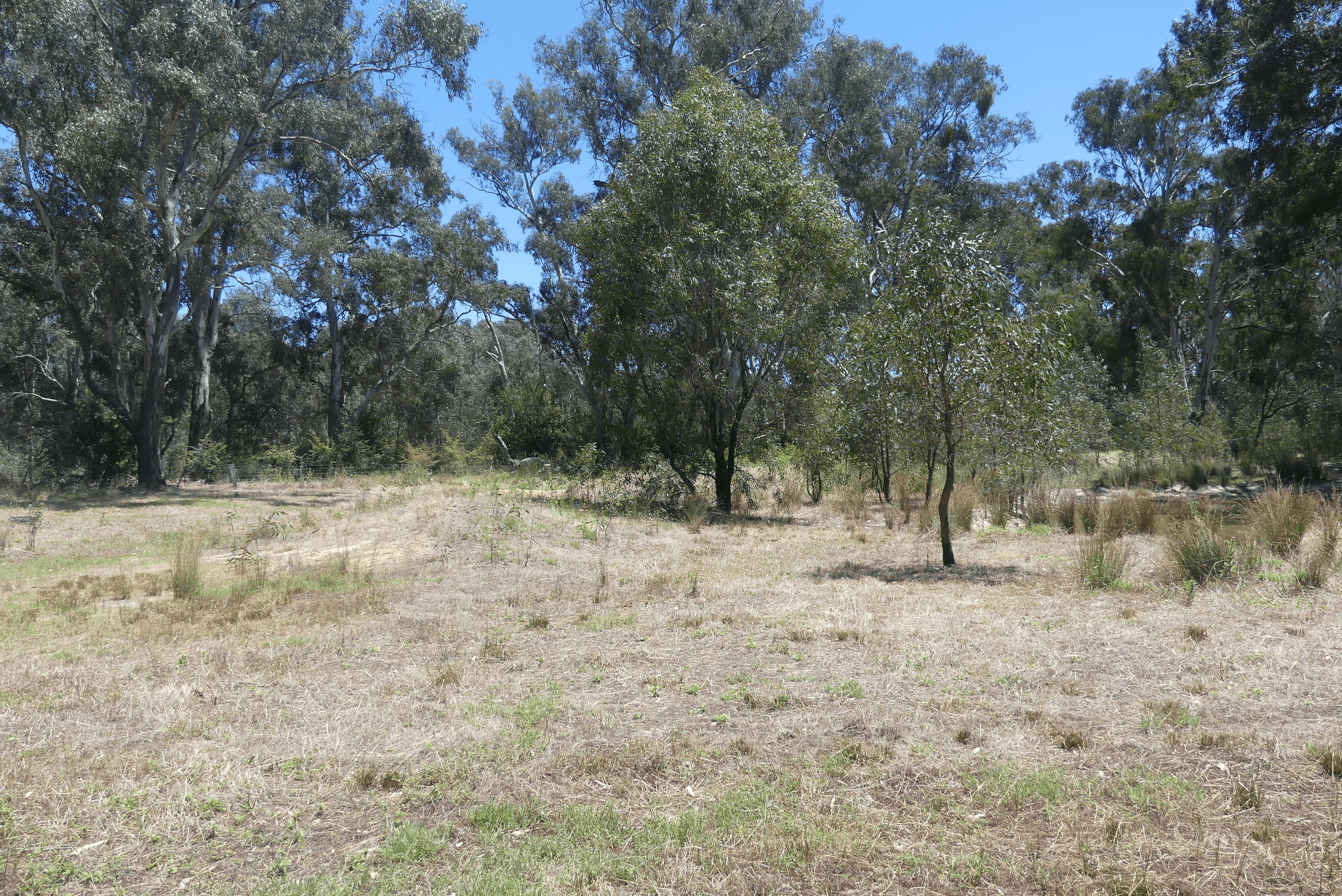 65 Hutchinson Road, MURCHISON EAST, VIC 3610