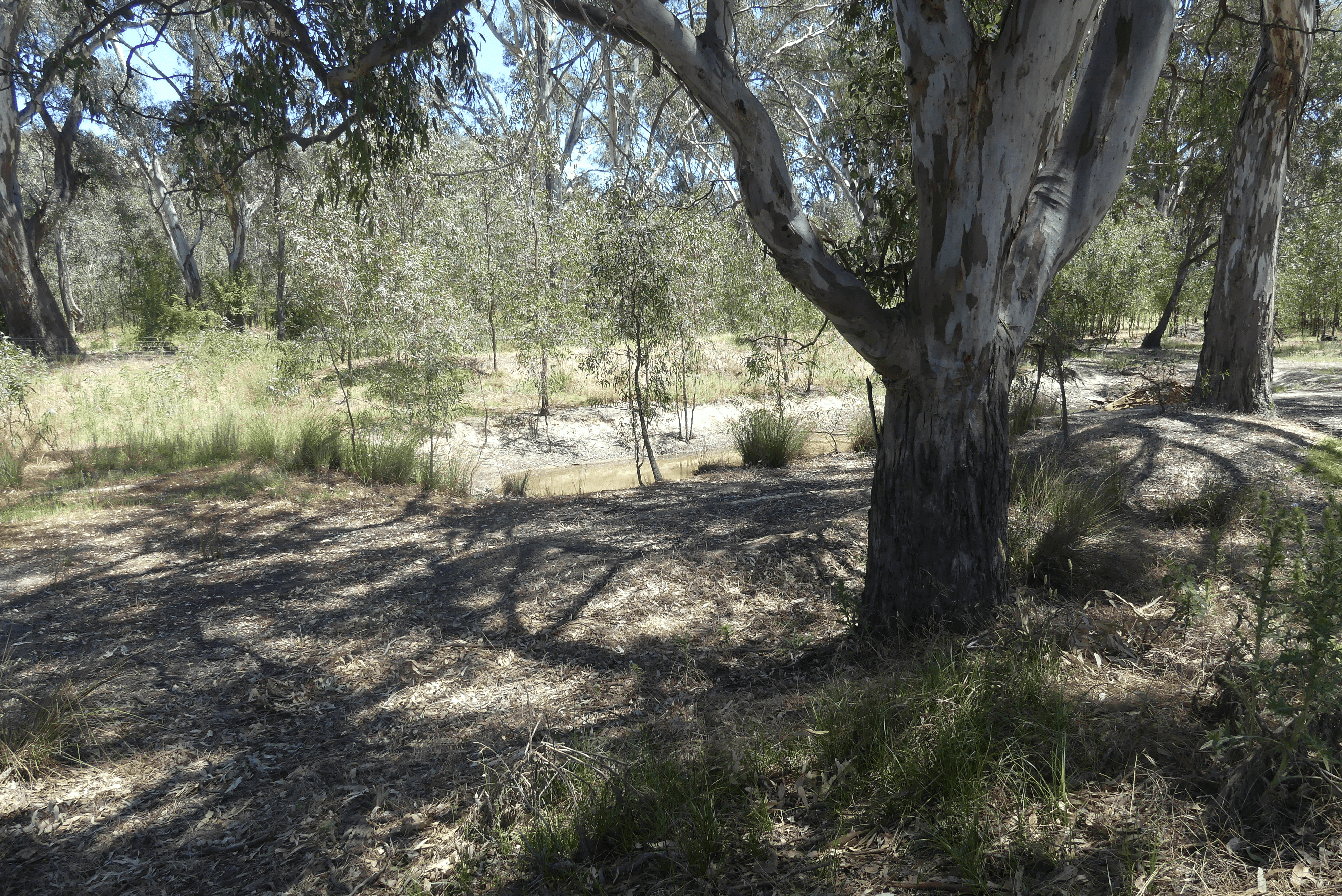 65 Hutchinson Road, MURCHISON EAST, VIC 3610