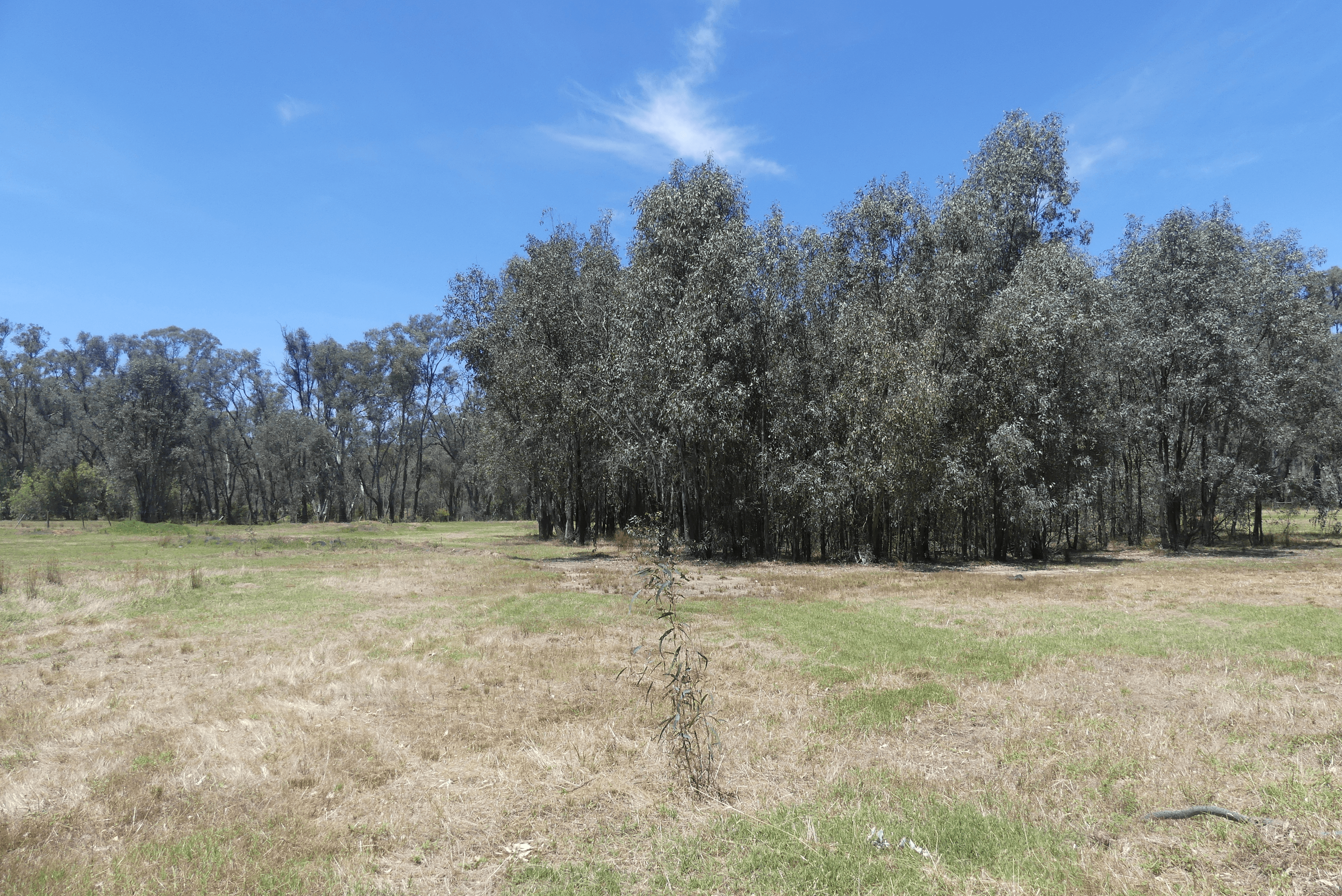 65 Hutchinson Road, MURCHISON EAST, VIC 3610